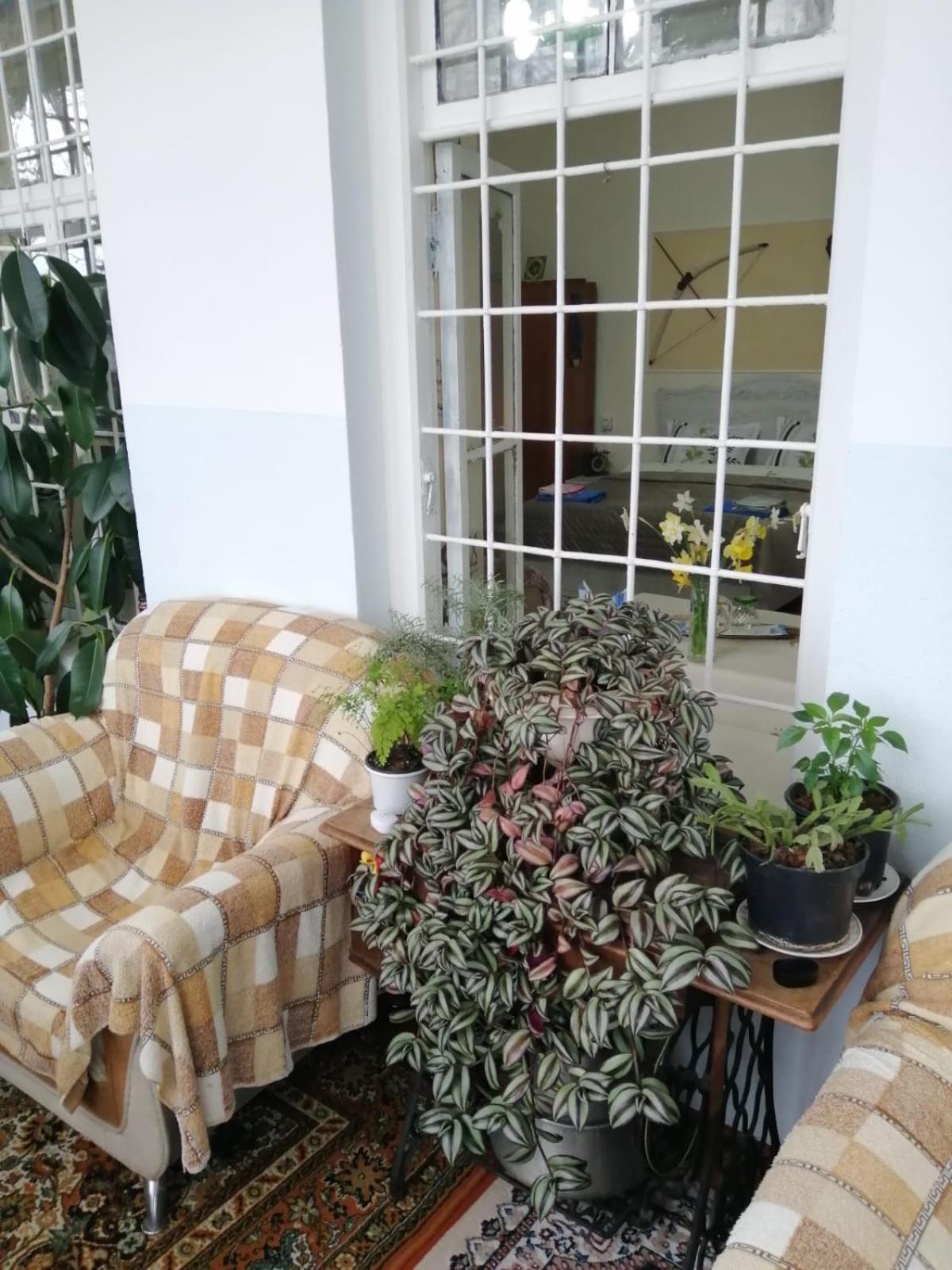 Hotel Ali Ancient House 555 à Şǝki Extérieur photo