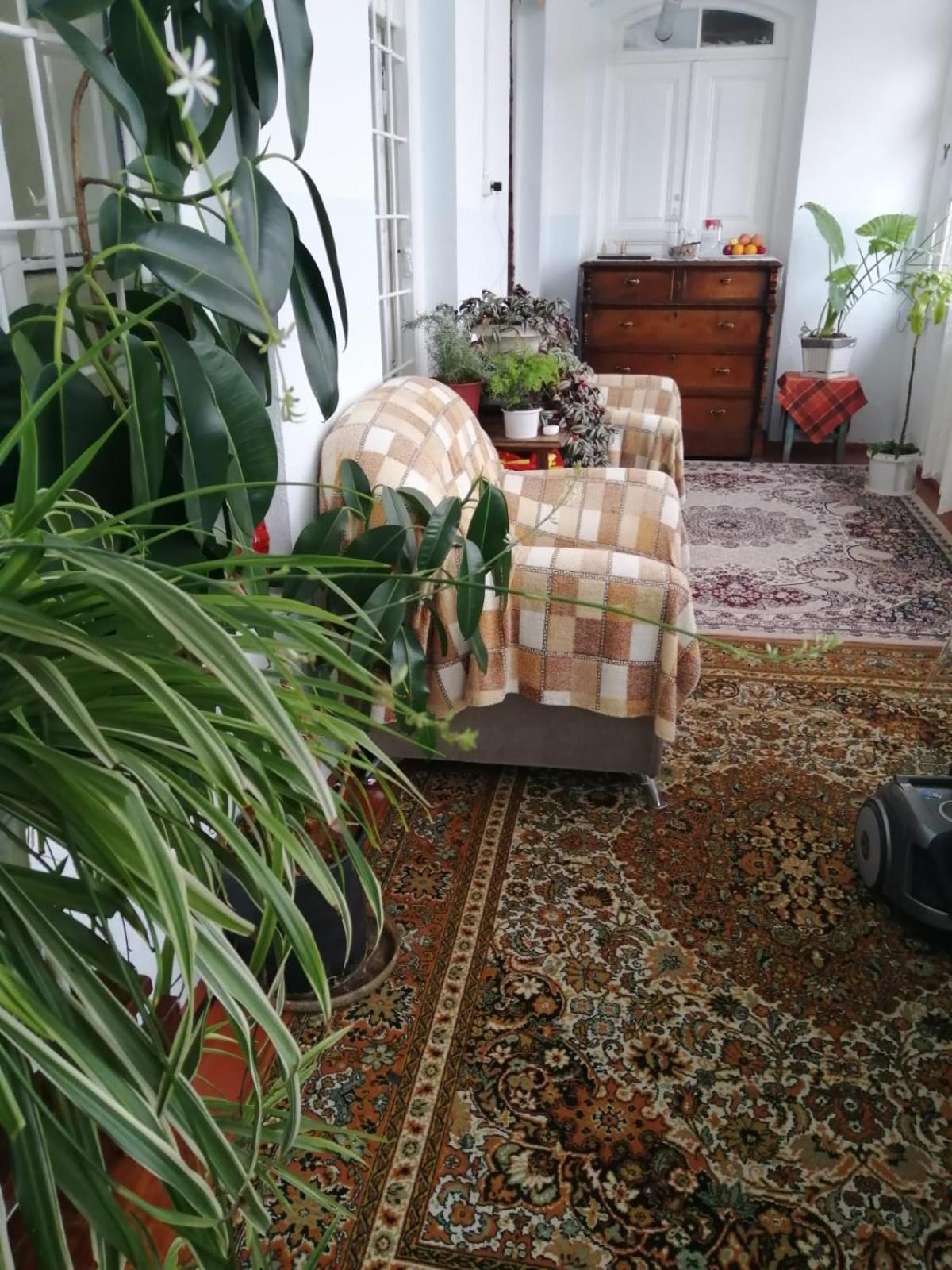 Hotel Ali Ancient House 555 à Şǝki Extérieur photo